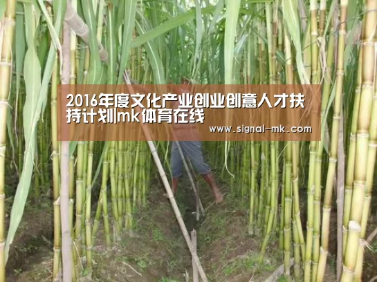 2016年度文化产业创业创意人才扶持计划|mk体育在线(图4) mk体育