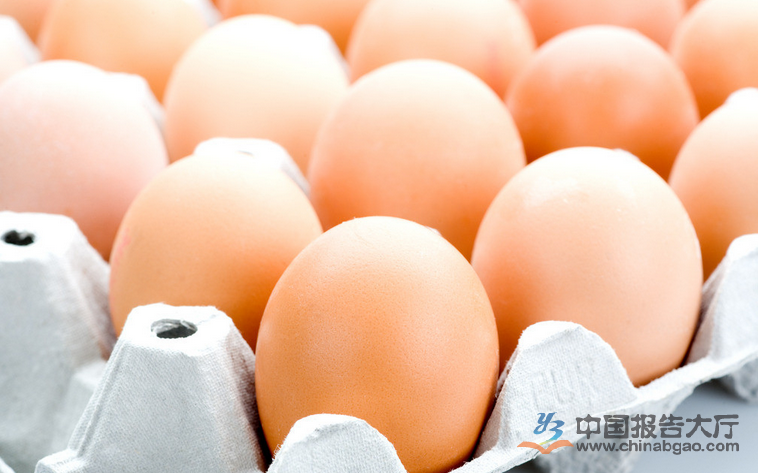 mk体育|都市唱响慢行交通曲(图3) mk体育