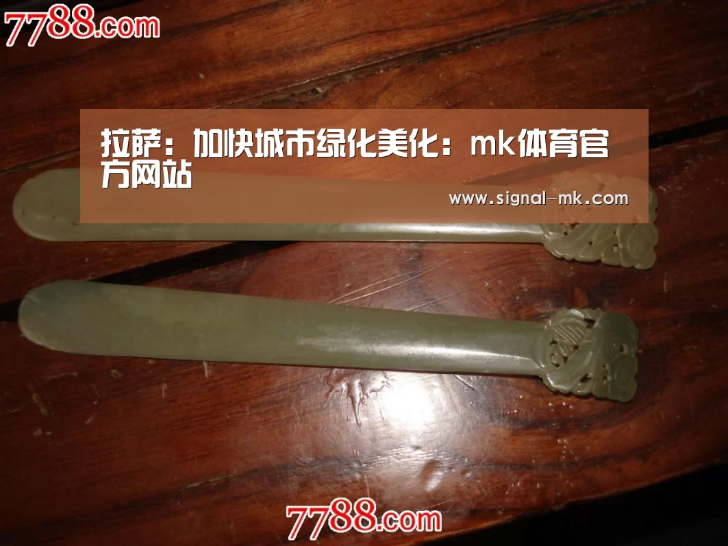 拉萨:加快城市绿化美化:mk体育官方网站(图3) mk体育在线