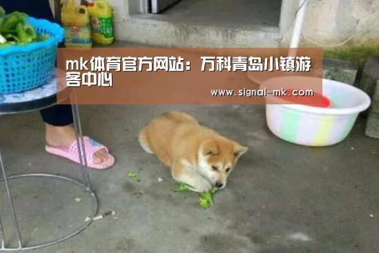 mk体育官方网站:万科青岛小镇游客中心(图2) mk体育官方网站